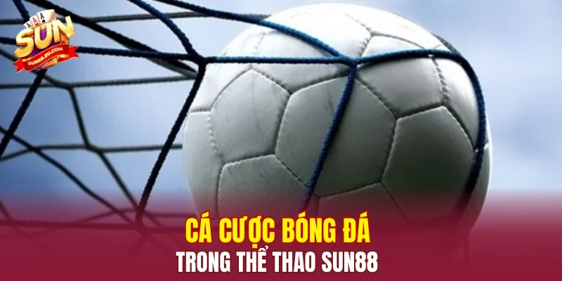 Cá cược bóng đá trong thể thao SUN88